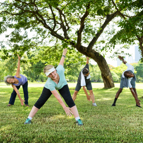 Group of adults stretching together in a park.